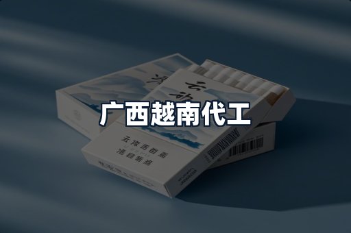 广西越南代工